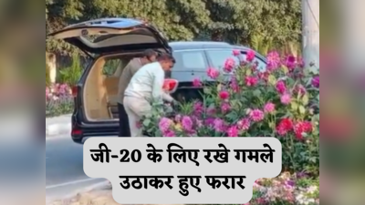 Gurugram News: लग्जरी कार से आए दो लोग, जी-20 के लिए सड़क किनारे रखे गमले किए चोरी, वीडियो वायरल
