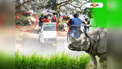 Rhino Attack On Tourist : যত কাণ্ড জলদাপাড়ায়! ক্ষেপে গিয়ে কেন পর্যটকদের দিকে তেড়ে গেল গন্ডার? মুখ খুললেন প্রাক্তন বন কর্তা