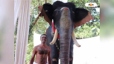 Kerala Elephant : রিমোটে নাড়েন শুঁড়, দোলাল মাথা! মন্দিরে ফের গজগামিনী