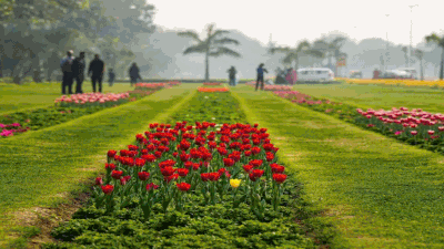 इतनी खूबसूरत है अपनी दिल्‍ली! रंग-बिरंगे फूल... ये तस्‍वीरें देखकर आप भी कह उठेंगे वाह!