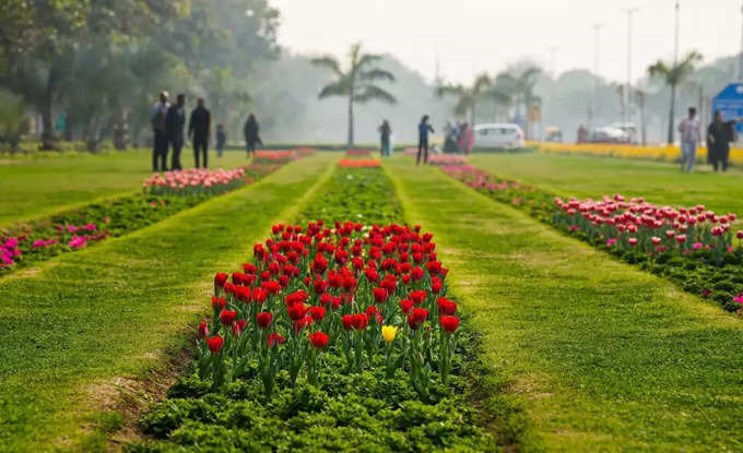 फूलों से सजे हैं दिल्‍ली के गार्डन