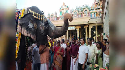 திருச்சி ஸ்ரீரங்கம் கோவில் யானை ஆண்டாளுக்கு பிறந்தநாள்; பலவகை பழங்களை பிறந்தநாள் பரிசாக கொடுத்து அசத்தல்!