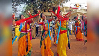 Visva Bharati Basanta Utsav:বসন্ত উৎসবের নামে চলত তাণ্ডব, বিস্ফোরক মন্তব্য বিশ্বভারতীর উপাচার্য বিদ্যুৎ চক্রবর্তীর