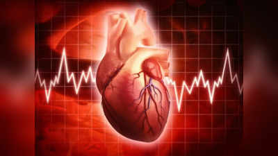 Heart Health Tips: दिल को रखना है स्वस्थ तो हर रोज 11 मिनट करें ये काम, कैंब्रिज यूनिवर्सिटी की रिसर्च में बड़ा खुलासा