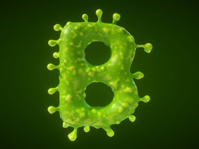 ​<strong>देबिनाला झालेला Influenza B Virus काय आहे?</strong>​