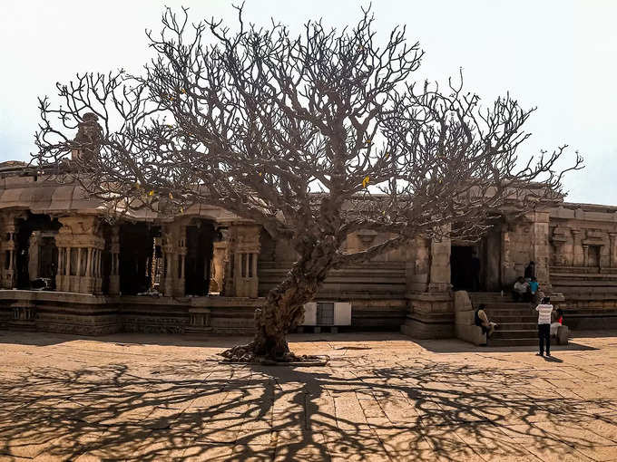 ప్యాకేజీలో ఇవి ఉండవు..