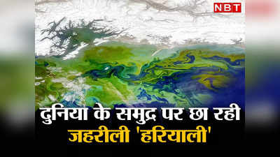 Algae Indian Ocean: भारत, पाकिस्‍तान... दुनिया के समुद्रों पर कब्‍जा कर रहा जहरीला शैवाल, अंतरिक्ष से दिखा डरावना नजारा