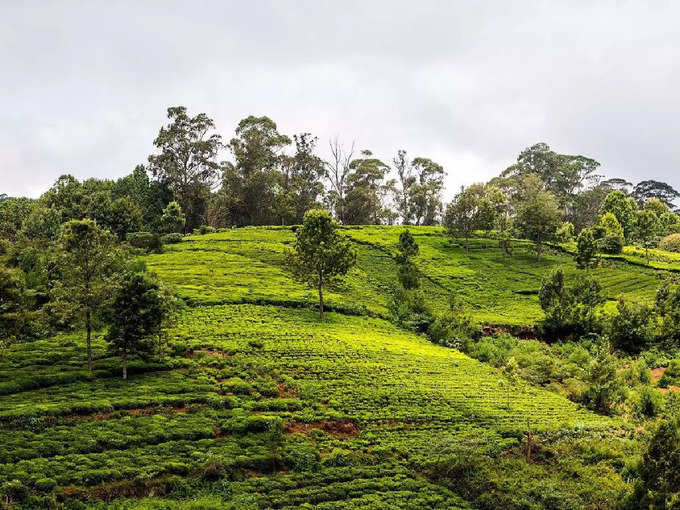 ಕೂನೂರು, ತಮಿಳುನಾಡು