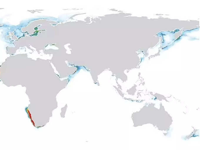 india-phytoplankton