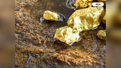 Gold Mines: তিন জেলার খনিতে বিপুল সোনার সন্ধান! অর্থনীতি নিয়ে আশায় ওড়িশা সরকার