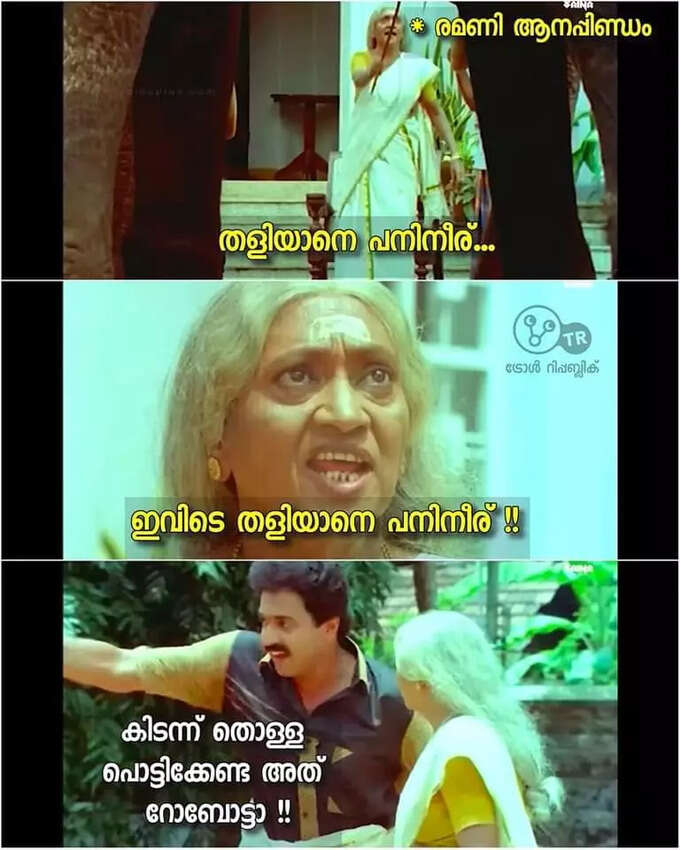 ഇവിടെ തളിയാനെ പനിനീര്