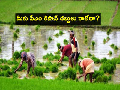 రైతులకు అలర్ట్.. మీకు PM KISAN డబ్బులు రాలేదా? ఇలా ఫిర్యాదు చేయండి!