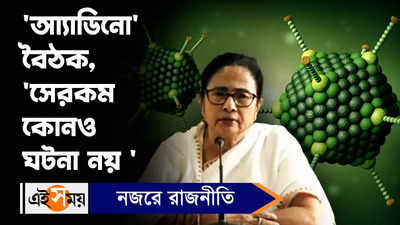 Mamata Banerjee: আ্যাডিনো বৈঠক, সেরকম কোনও ঘটনা নয় 