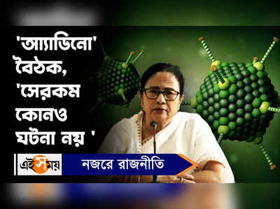 Mamata Banerjee: আ্যাডিনো বৈঠক, সেরকম কোনও ঘটনা নয় 