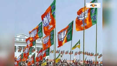 Sagardighi By Election : সাগরদিঘির পাটা পিচে রিভার্স সুইং, BJP-র ঘর থেকে প্রায় ৫০ শতাংশ ভোটের সিঁধ কাটলেন বাইরন