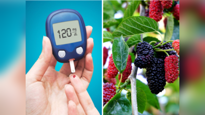 How To Control Diabetes: वैज्ञानिकों का दावा-बस 2 हफ्ते खाएं बैंगनी रंग की 9 चीजें, खुद कम हो जाएगा Blood Sugar