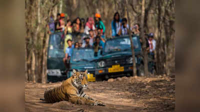 World Wildlife Day 2023: जिम कॉर्बेट में सफारी करते समय न करें ये 6 चीजें, वरना उतार दिए जाएंगे गाड़ी से