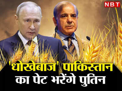 Pakistan Wheat Russia: भूख से बिलबिलाते पाकिस्‍तानियों का पेट भरेगा रूस, पुतिन के आदेश पर गेहूं लेकर पहुंचा चेन्नई