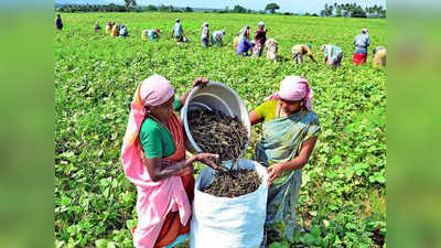 விவசாயிகளே ஓடி வாங்க.. பணம் கொடுக்குறோம்.. தமிழக அரசு அழைப்பு!