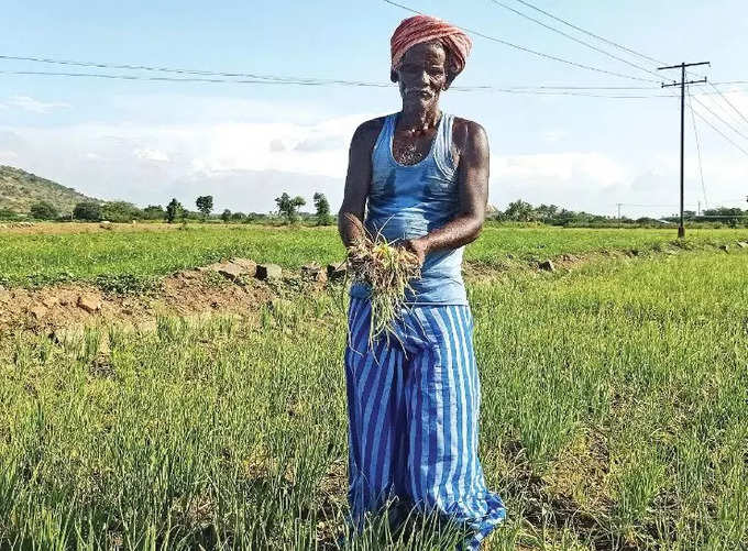 கொள்முதலுக்கு தரம் அவசியம்!