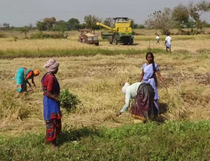 தமிழக அரசு நடவடிக்கை!