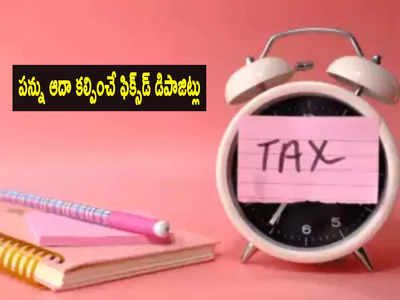 ఇటు ఆదాయం.. అటు పన్ను ఆదా! Tax Saving FDపై అధిక వడ్డీ ఇస్తోన్న 5 బ్యాంకులివే!