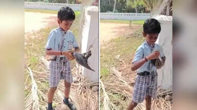 ഒന്നും പേടിക്കണ്ട കേട്ടോ, ഞാൻ രക്ഷപ്പെടുത്താം, കൈയ്യടി നേടി ഈ മിടുക്കൻ്റെ പ്രവൃത്തി