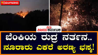 Forest Fire: ಬೆಂಕಿಯ ಕೆನ್ನಾಲಗೆಗೆ ಹೊತ್ತಿಉರಿದ ಶಿವಾರು ರಕ್ಷಿತಾರಣ್ಯ: ನೂರಾರು ಎಕರೆ ಕಾಡು ನಾಶ!