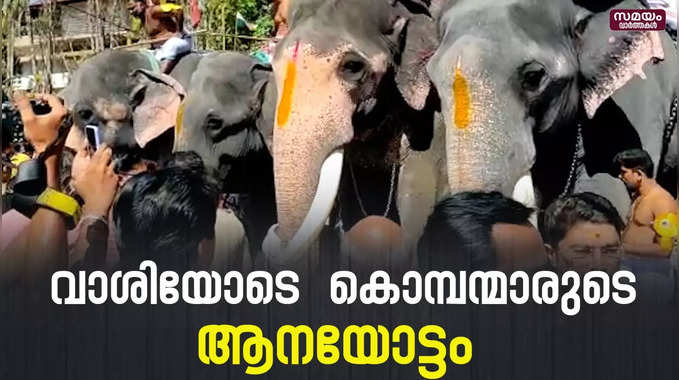 കൊമ്പന്മാരുടെ ആനയോട്ടം ; വിജയി ആര് ?