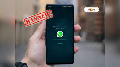 WhatsApp Ban: 29 লাখ ভারতীয় অ্যাকাউন্ট ব্যান করল WhatsApp, কারণ শুনলে চমকে উঠবেন