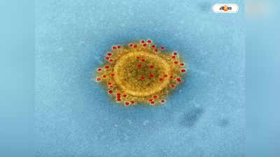 Adenovirus Infection : গরমে ভাইরাসের ক্ষমতা কমায় আশায় স্বাস্থ্যমহল