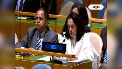India in UNSC: কাশ্মীর ভারতেরই ছিল, আছে আর চিরকালই থাকবে! রাষ্ট্রসংঘে পাকিস্তানকে কড়া জবাব ভারতের