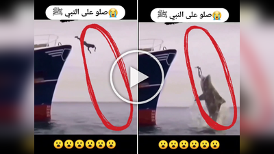 Video: पोहण्यासाठी समुद्रात मारली उडी, पण थेट गेला शार्कच्या तोंडात
