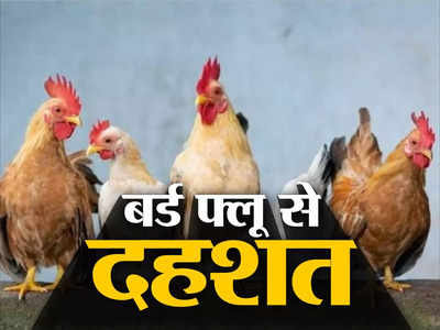 ‘जब-जब बर्ड फ्लू आया है, मैंने ज्यादा मुर्गा खाया’, स्वास्थ्य मंत्री बन्ना गुप्ता ने कहा- डरने की कोई जरूरत नहीं 