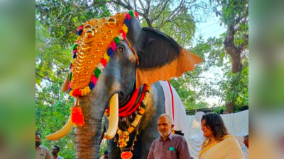 Kerala Temple: ಶ್ರೀಕೃಷ್ಣ ದೇವಾಲಯದಲ್ಲೊಂದು ರೋಬೋಟಿಕ್‌ ಆನೆ: ಇಲ್ಲಿದೆ ನೋಡಿ ವಿಡಿಯೋ..!