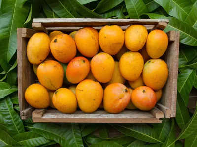 Inflation: आम, लीची, केला, संतरा, टमाटर... इस बार गर्मियों में सिर्फ देखने को मिलेंगे फल और सब्जियां! 