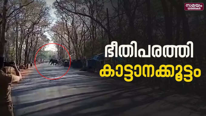 കാട്ടാന ശല്യത്തിൽ വലഞ്ഞ് മലപ്പുറം