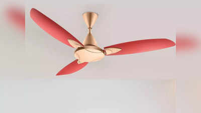 जबरदस्त हवा देने के साथ कमरे की खूबसूरती बढ़ा देंगे ये Cool Ceiling Fans, हाई स्पीड वाली पावरफुल मोटर से हैं लैस