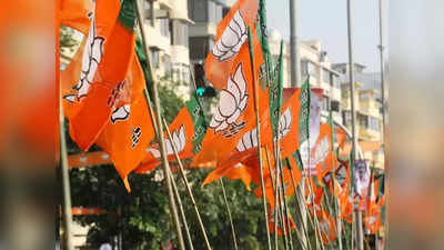 UP Bypoll 2023: यूपी में जल्द इन दो सीटों पर हो सकते हैं उपचुनाव, अपना दल पर दांव लगा सकती है बीजेपी