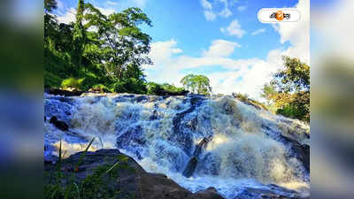 Assam Tourism : জঙ্গল সাফারি থেকে পাহাড়ি ঝোরা, পর্যটনে জোয়ার আনতে বলিউডকে নিমন্ত্রণ অসম সরকারের