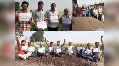किसानों ने खेत समाधि लेकर मांगा हक, बोले नहीं तो सरकार दे दे इच्छा मृत्यु, गुजरात के राजकोट में अनूठा प्रदर्शन