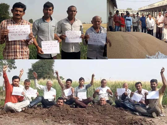 किसानों ने खेत समाधि लेकर मांगा हक, बोले नहीं तो सरकार दे दे इच्छा मृत्यु, गुजरात के राजकोट में अनूठा प्रदर्शन 