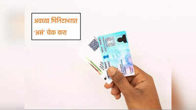 PAN कार्डशी Aadhaar कार्ड लिंक आहे की नाही, असं चेक करा, खूपच सोपी प्रोसेस