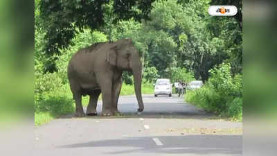 West Bengal Local News : সাহেবরামের ঘরে স্নান সেরেই ভোজ রামলালের