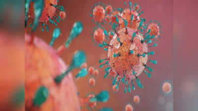 H3N2 Virus Karnataka: ರಾಜ್ಯದಲ್ಲಿ ಈವರೆಗೂ 26 ಜನರಲ್ಲಿ H3N2 ವೈರಸ್‌ ಪತ್ತೆ! ಮಕ್ಕಳು ವಯೋವೃದ್ಧರು ಎಚ್ಚರದಿಂದಿರಿ - ಡಾ.ಕೆ.ಸುಧಾಕರ್‌