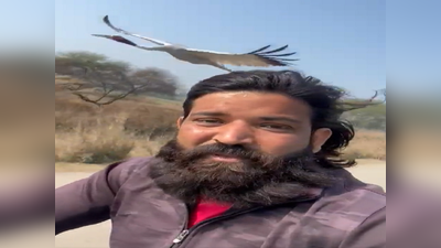 Akhilesh Yadav Sarus Bird: सारस पक्षी की इंसान के साथ ऐसी दोस्ती नहीं देखी होगी, अखिलेश यादव भी पहुंच गए मिलने