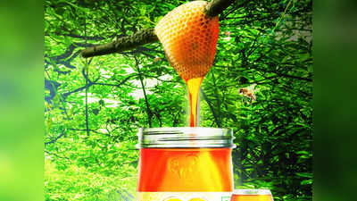 ये हैं 5 बेस्ट क्वालिटी वाले Pure Honey, वेट मैनेजमेंट में माने जाते हैं मददगार, इन पर मिल रहा है भारी डिस्काउंट