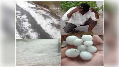 VIDEO : धुळे जिल्ह्याला गारपिटीचा तडाखा, शेतकऱ्यांचं अतोनात नुकसान, मन हेलावणारी दृश्य