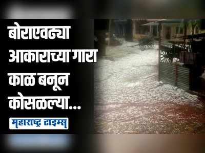 धुळ्यात अवकाळी पावसासह गारपीट; शेती पिकांना फटका, गहूचं पीक मातीमोल!