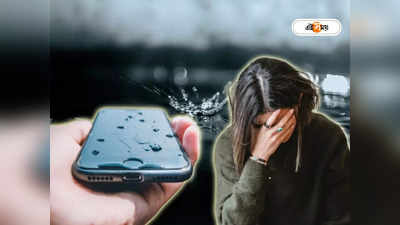 Smartphone Tips: দোলে দফারফা স্মার্টফোন? স্বাভাবিক করবেন কীভাবে? জানুন টিপস